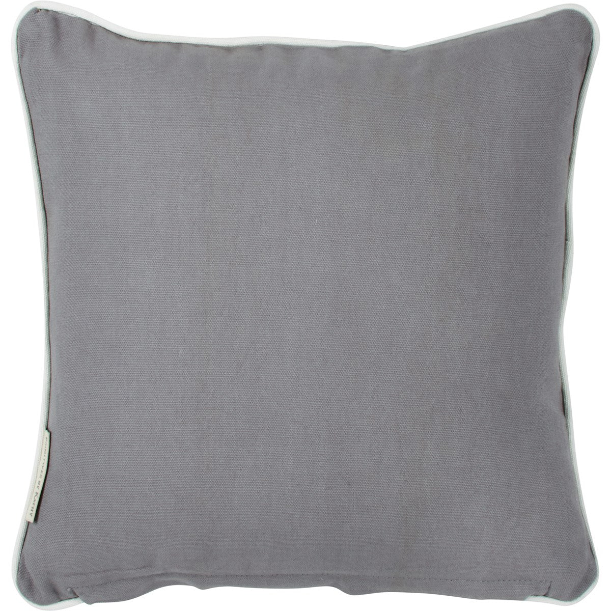Pillow - "No Cats Allowed On The Couch"