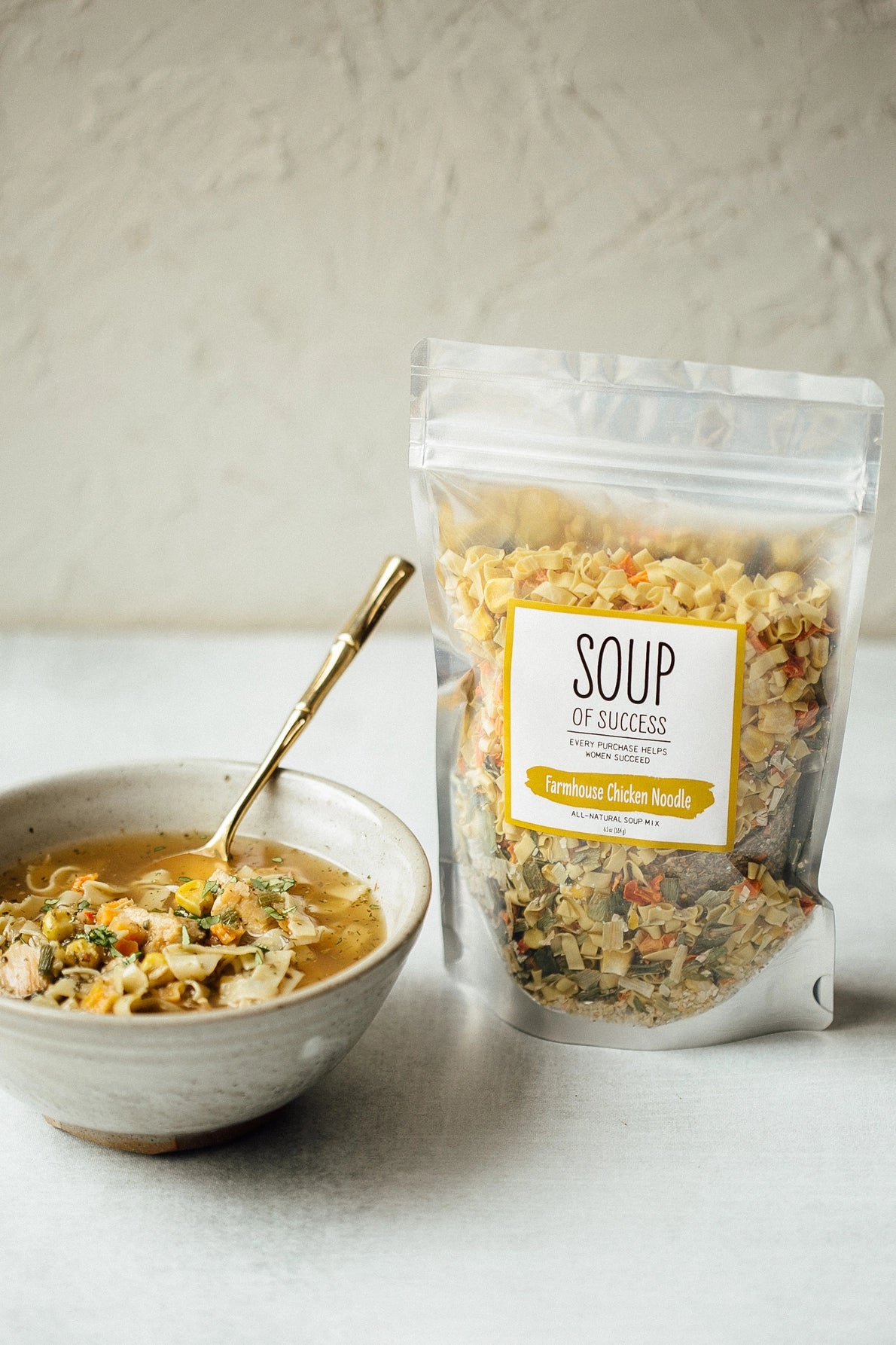 Soup of Success - Farmhouse Chicken Noodle Dry Soup Mix