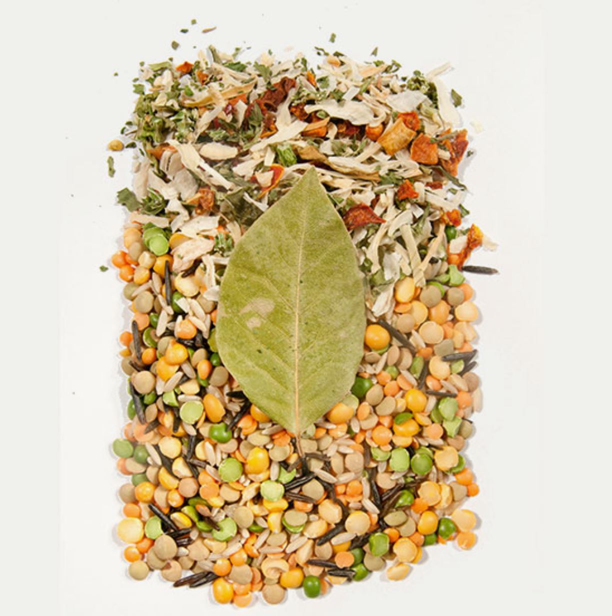 Cooke Tavern - Autumn Harvest Pumpkin Lentil Dry Soup Mix