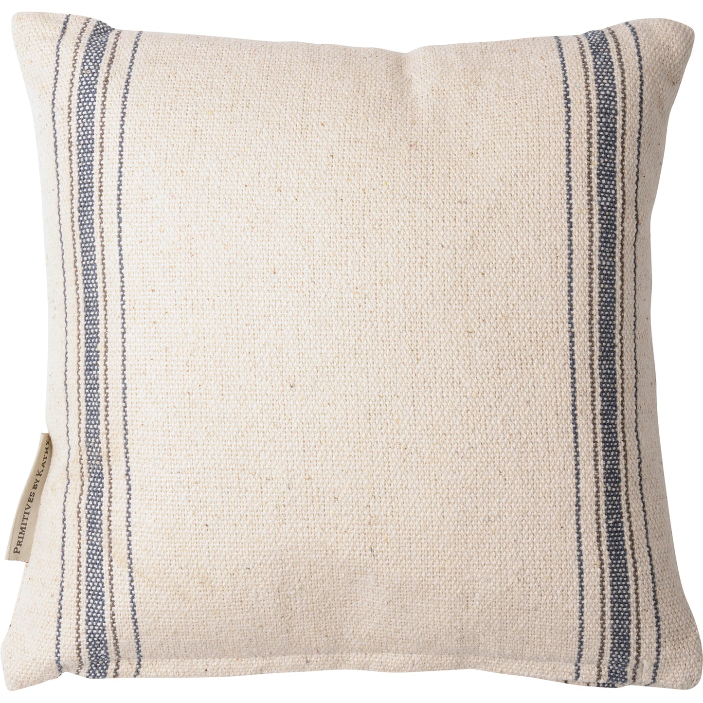 Pillow - "No Dogs Allowed On The Couch"