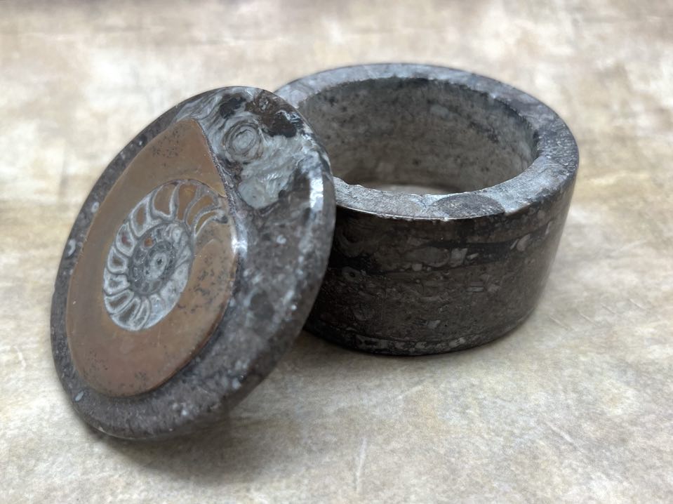 Ammonite Fossil Trinket Box From Morocco